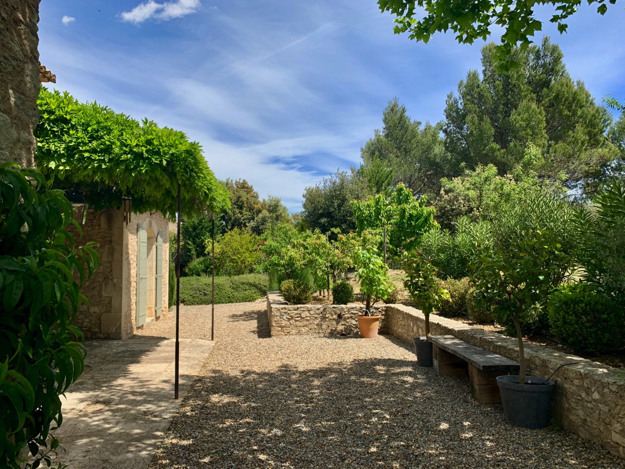 A tranquil garden with a cobblestone path, lush green trees, and a vine-covered pergola next to a rustic stone building under a clear blue sky.